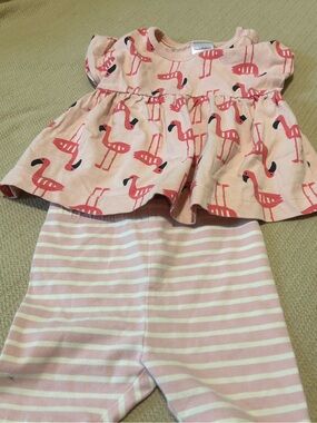 Hanna Andersson Pink Flamingo Print Tee